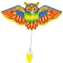Flashy Owl sárkány