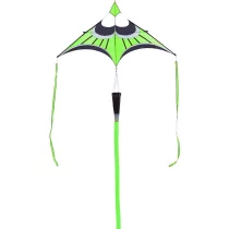Hoffmanns Canard Delta lime sárkány