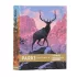PARKS Memories Mountaineer, társasjáték, angol nyelvű