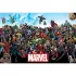 Marvel (UNIVERSE) MAXI