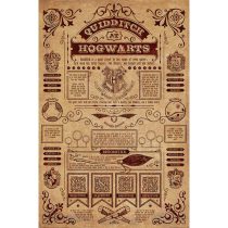 Harry Potter (Quidditch at Hogwarts) maxi poszter