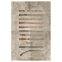 Harry Potter (The wand chooses the wizard) maxi poszter
