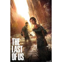 Playstation (The Last Of Us) poszter