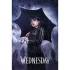 WEDNESDAY (DOWNPOUR) maxi poszter